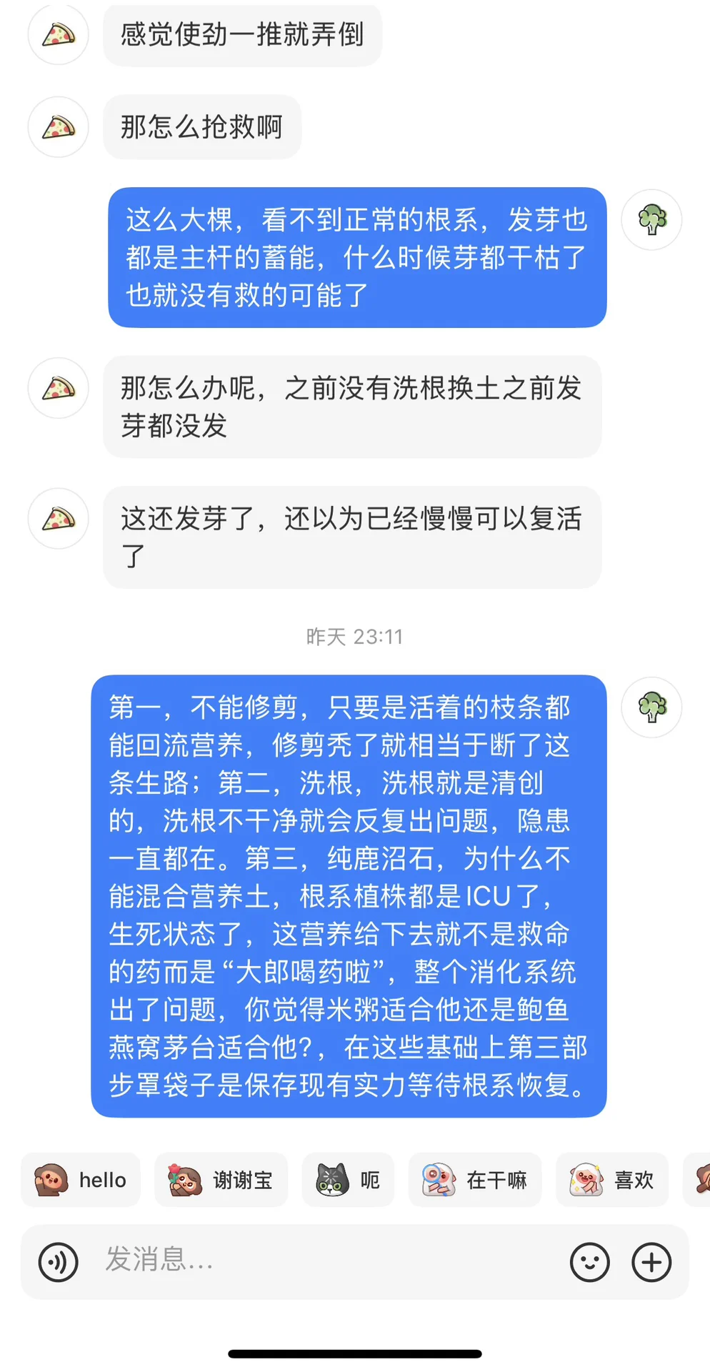 苦口婆心劝说救桂花