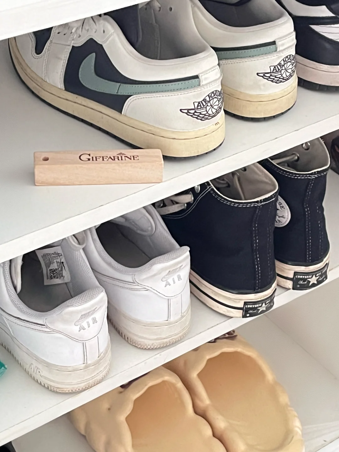 由于我不停的用樟木条...飞虫真的没有了！