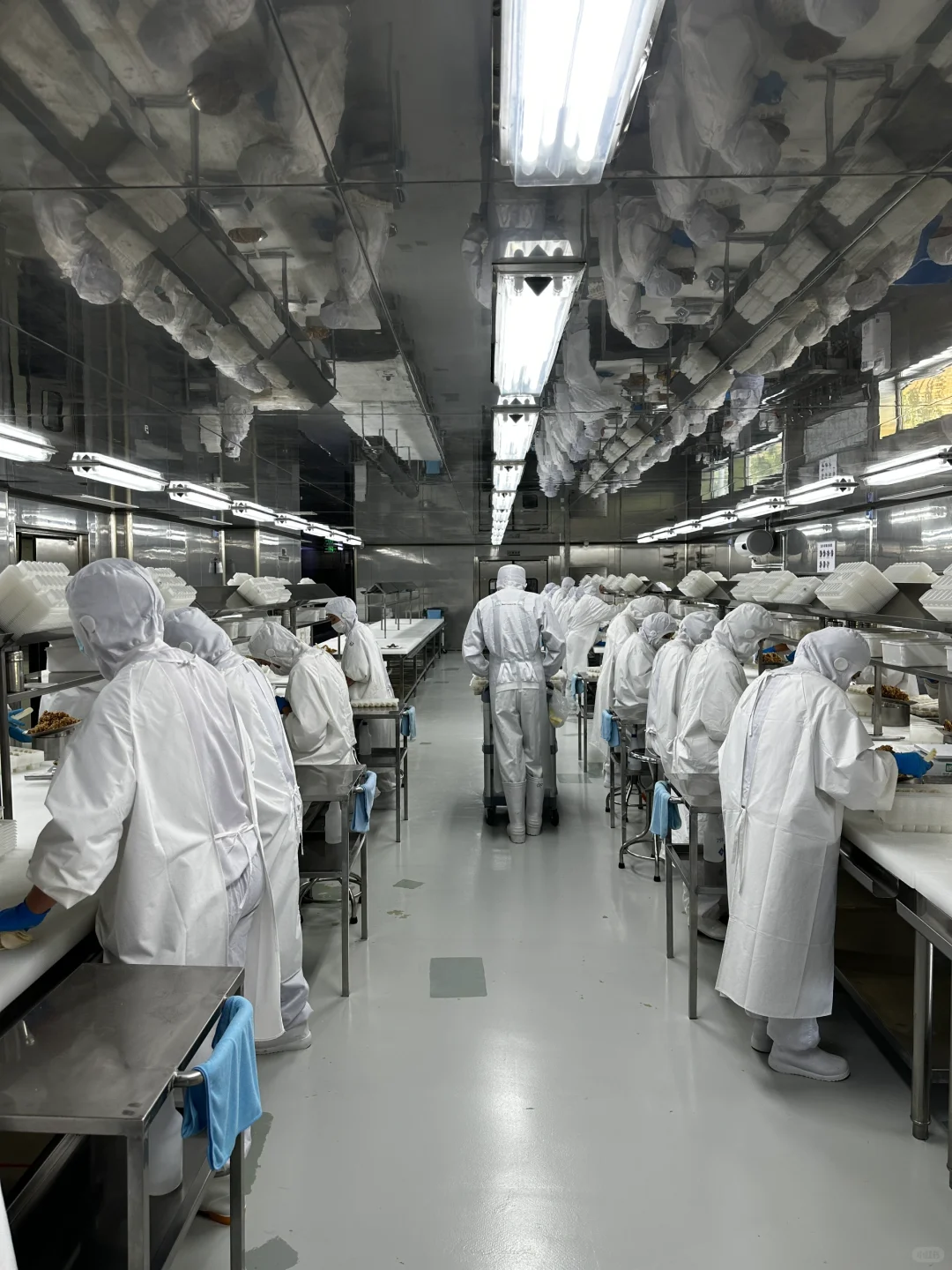 探秘速冻饺子工厂