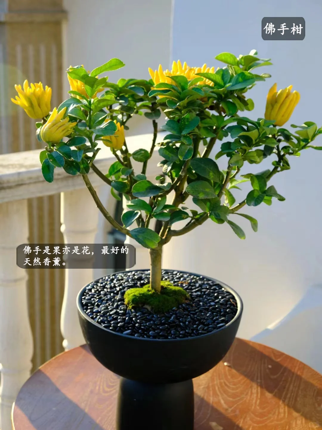 5种适合家里种的水果,好吃又好看