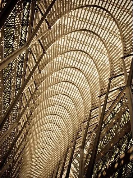 新兴材料,以竹代钢|竹钢