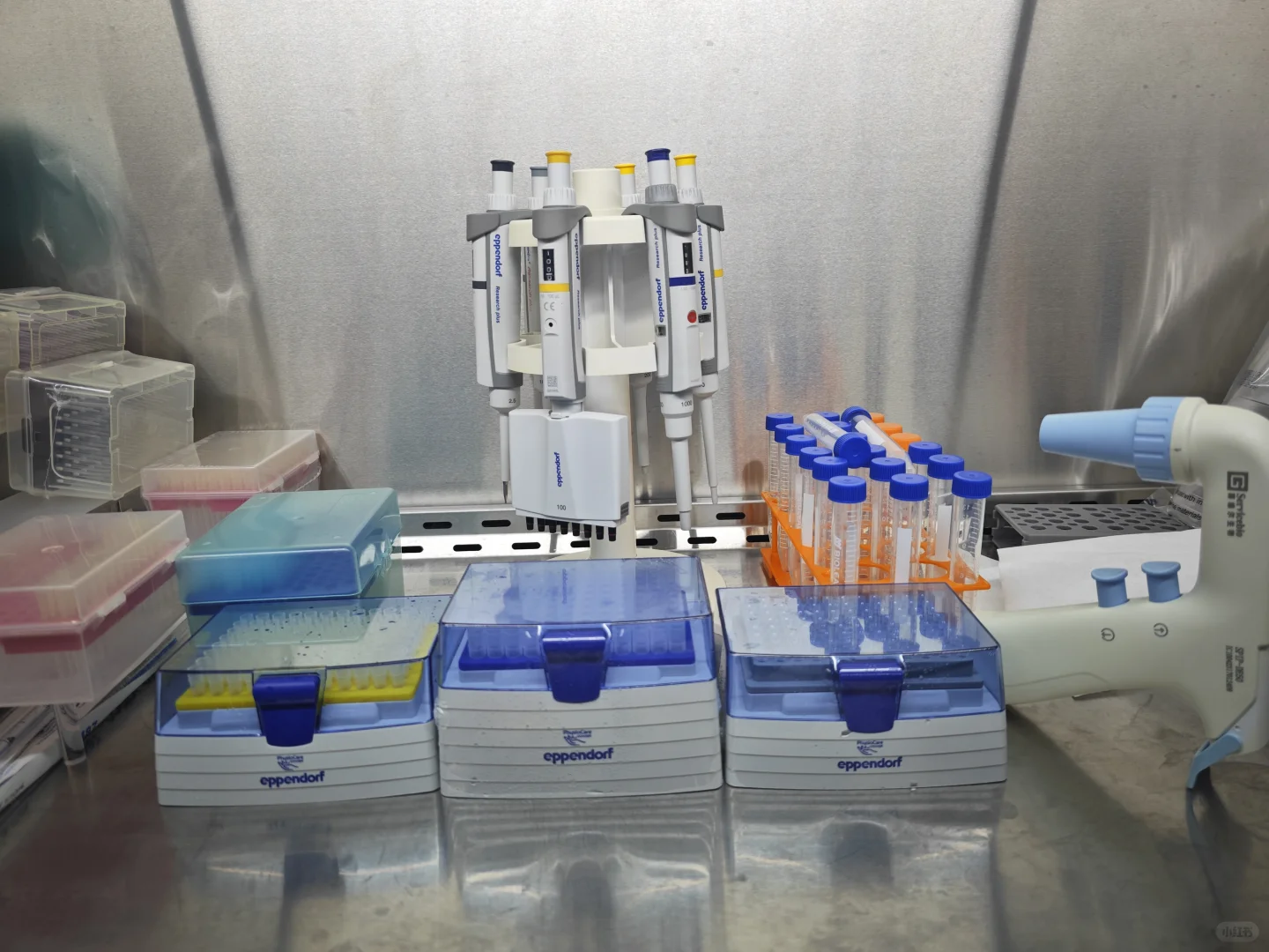 这个本科生自费建的小实验室属于什么水平