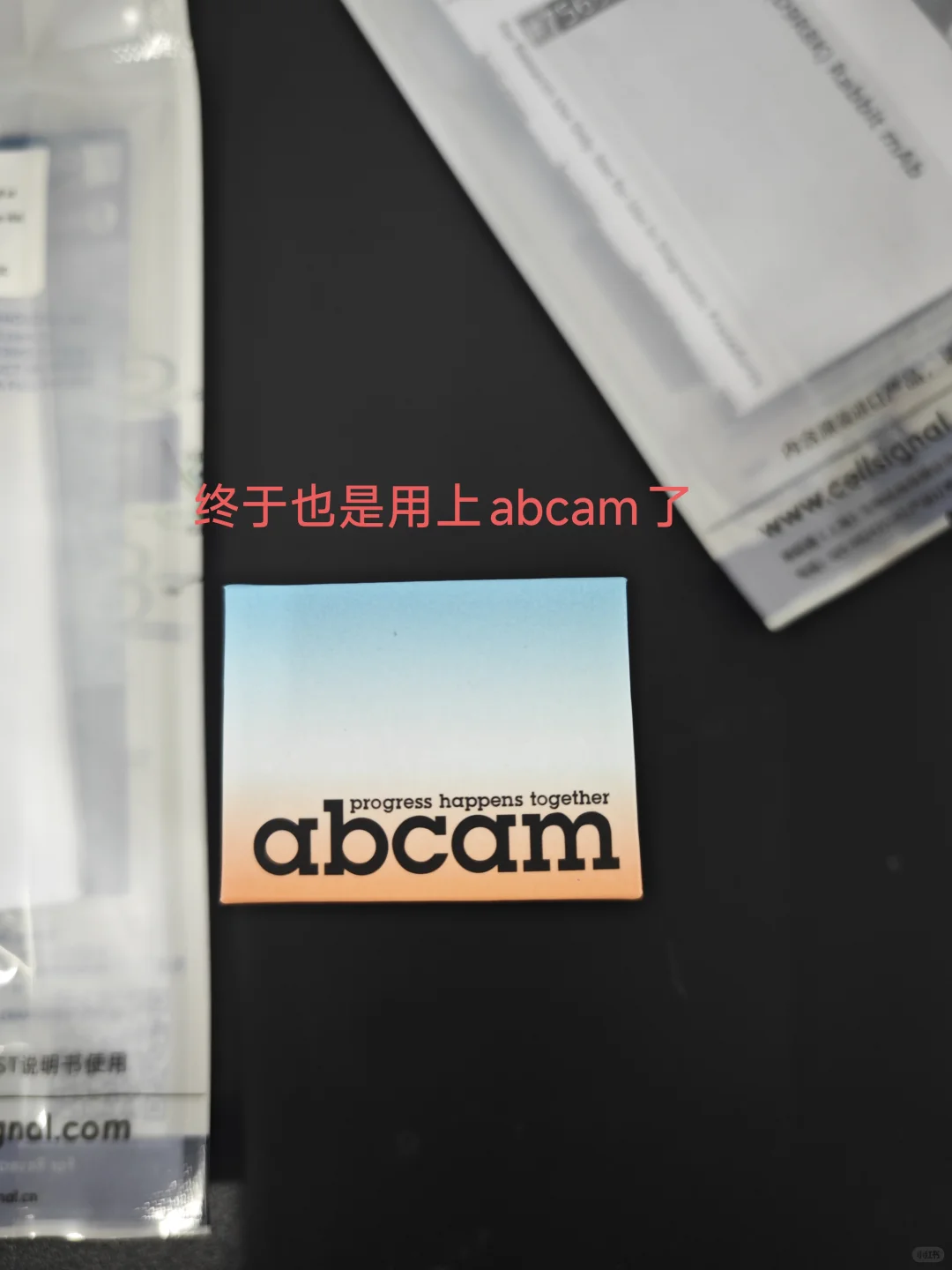 这个本科生自费建的小实验室属于什么水平