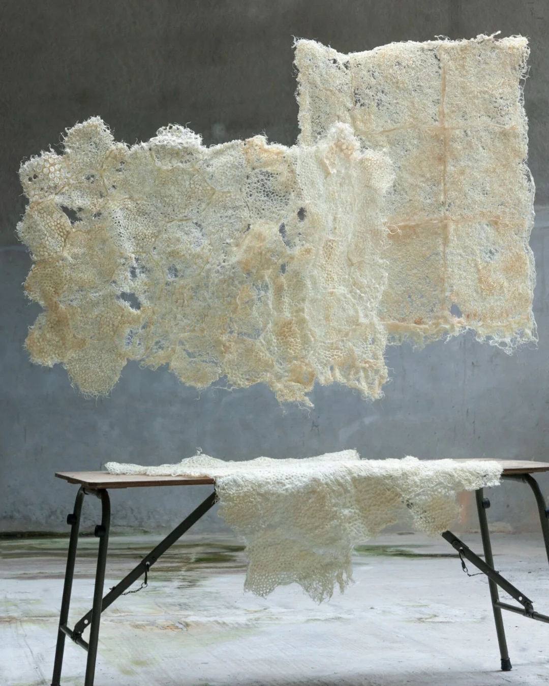 新奇特材料之根部纺织品