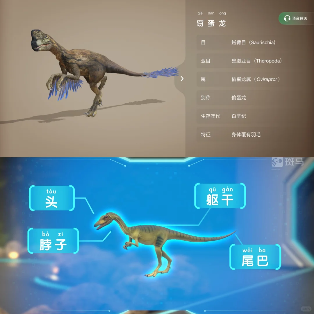 3岁娃的生日愿望：'我要挖霸王龙化石！'