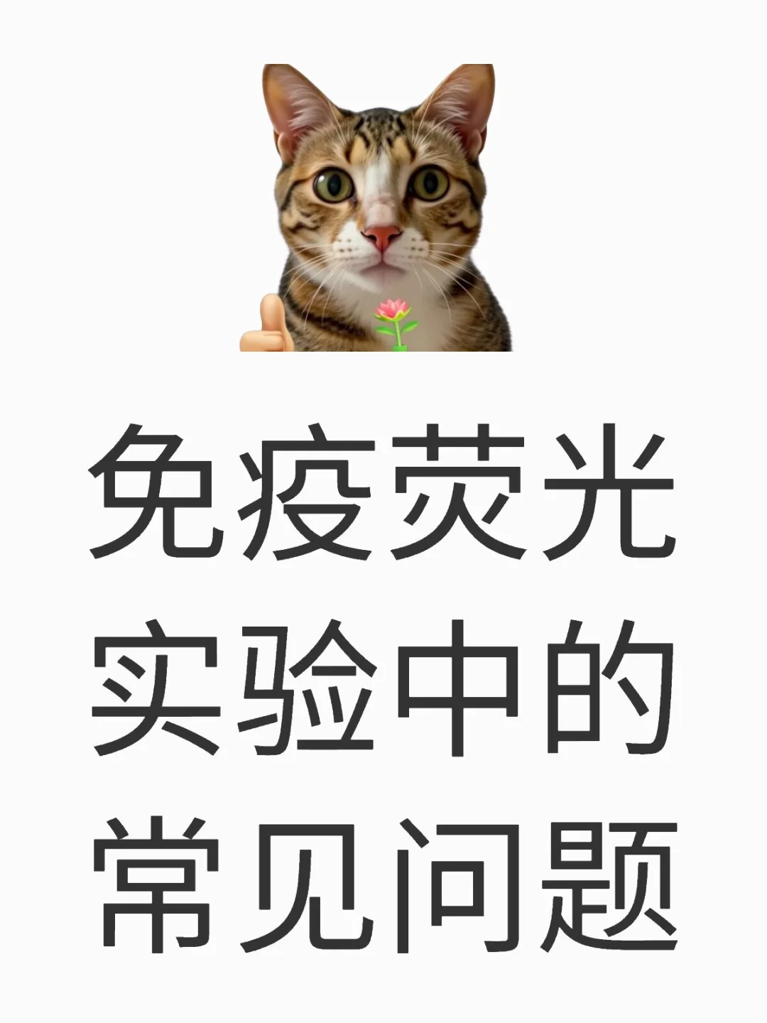 免疫荧光实验中的常见问题