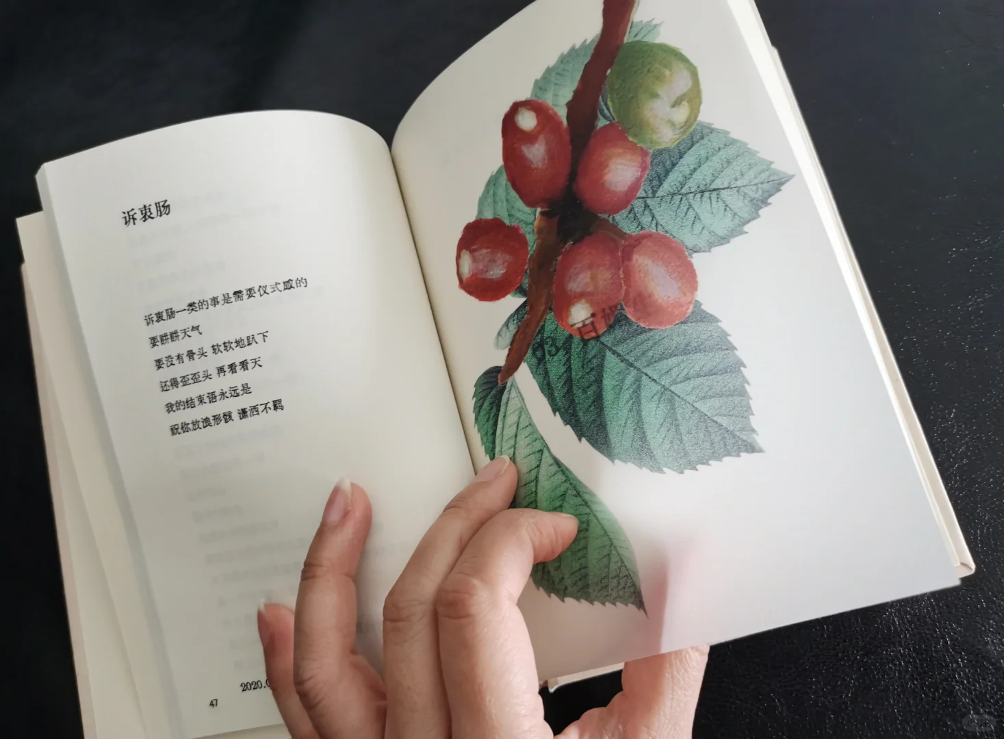 凹凸印刷，特种纸精装书，透明硫酸纸彩印