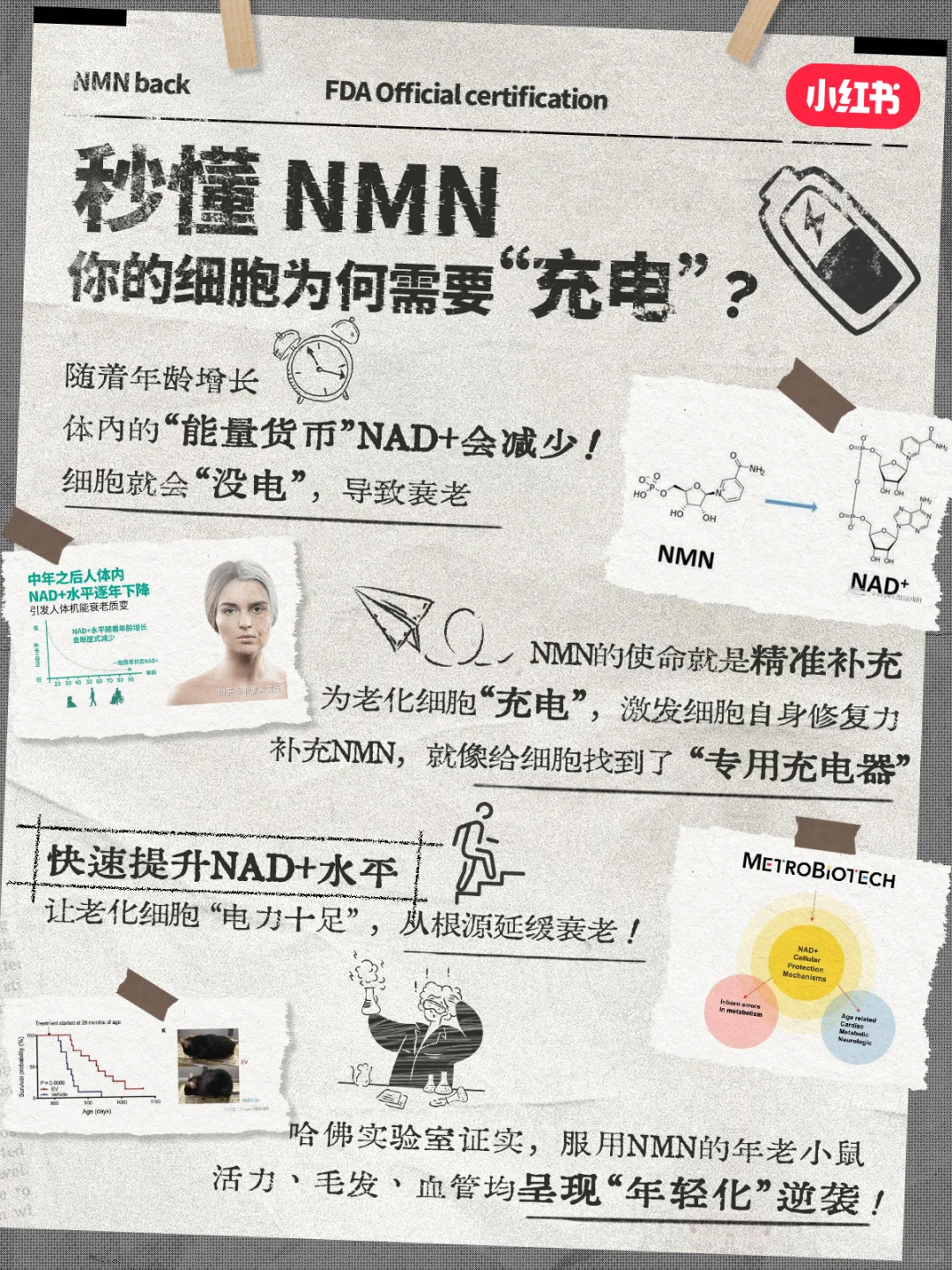 NMN长寿药卷土重来,抗衰老功效实锤了?