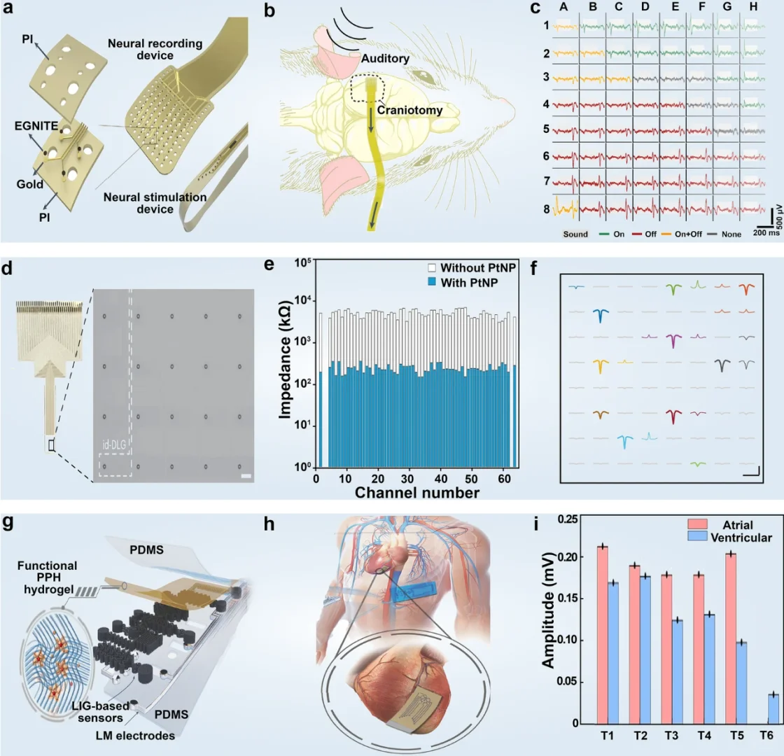 当“原子薄”遇上智能穿戴：开启柔性新时代