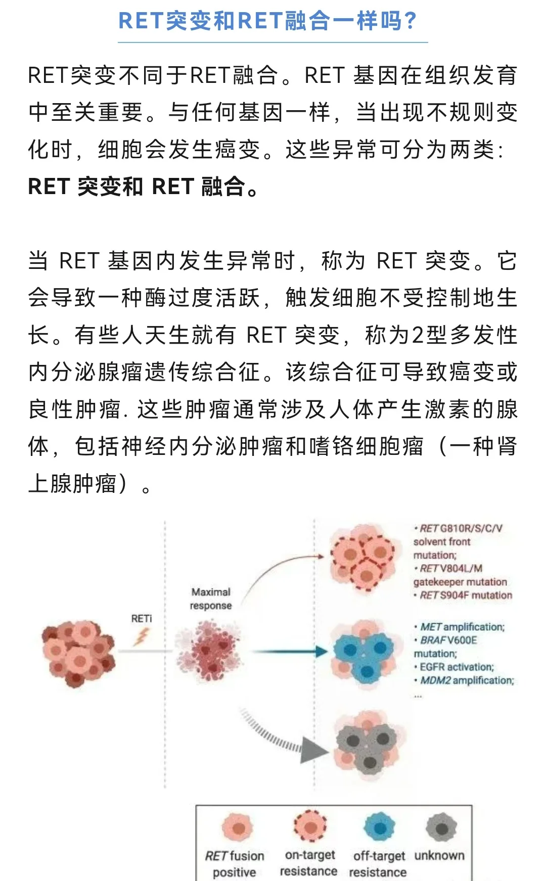 赛普替尼（塞尔帕替尼）全面说明