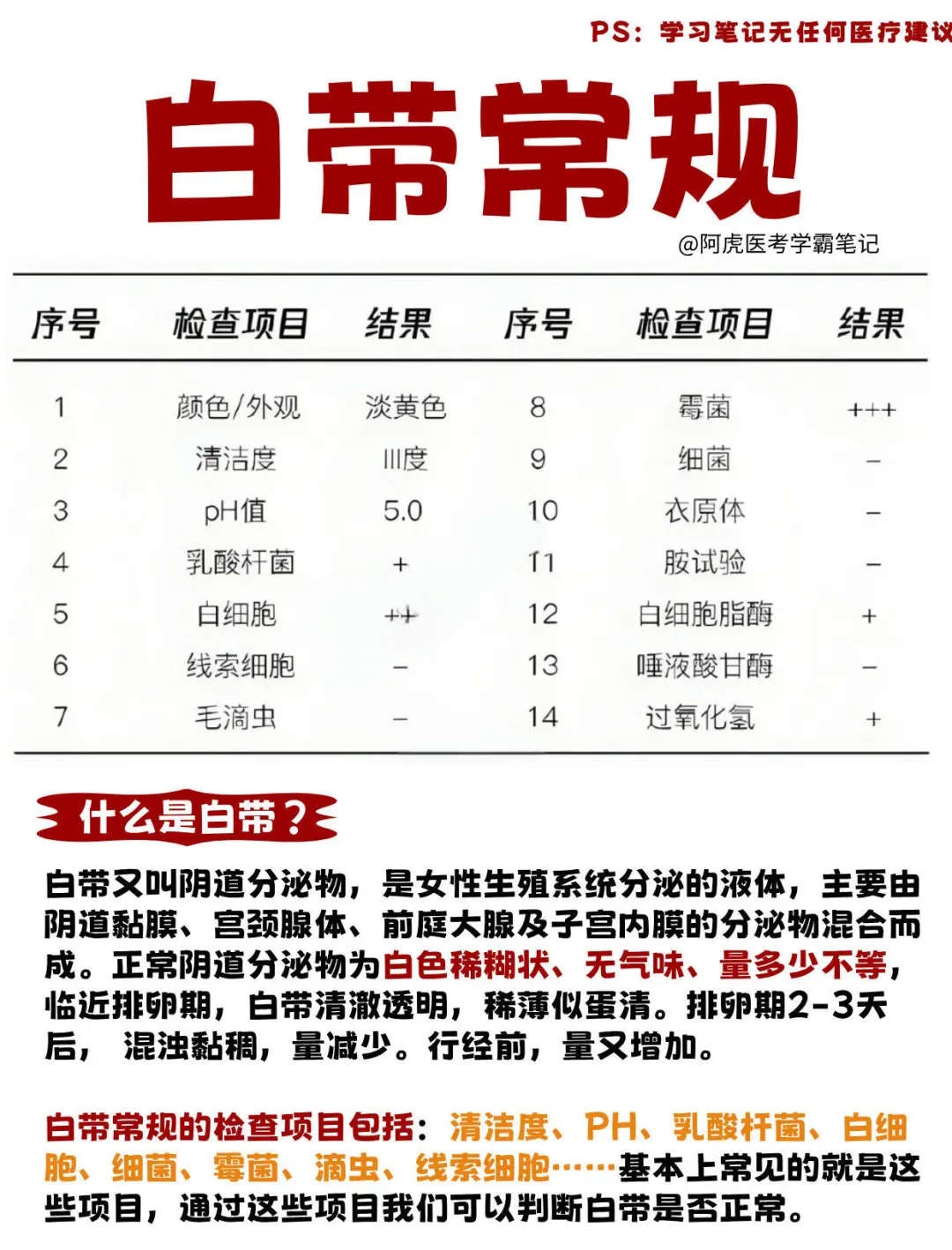 如何看懂医院的常规检查报告