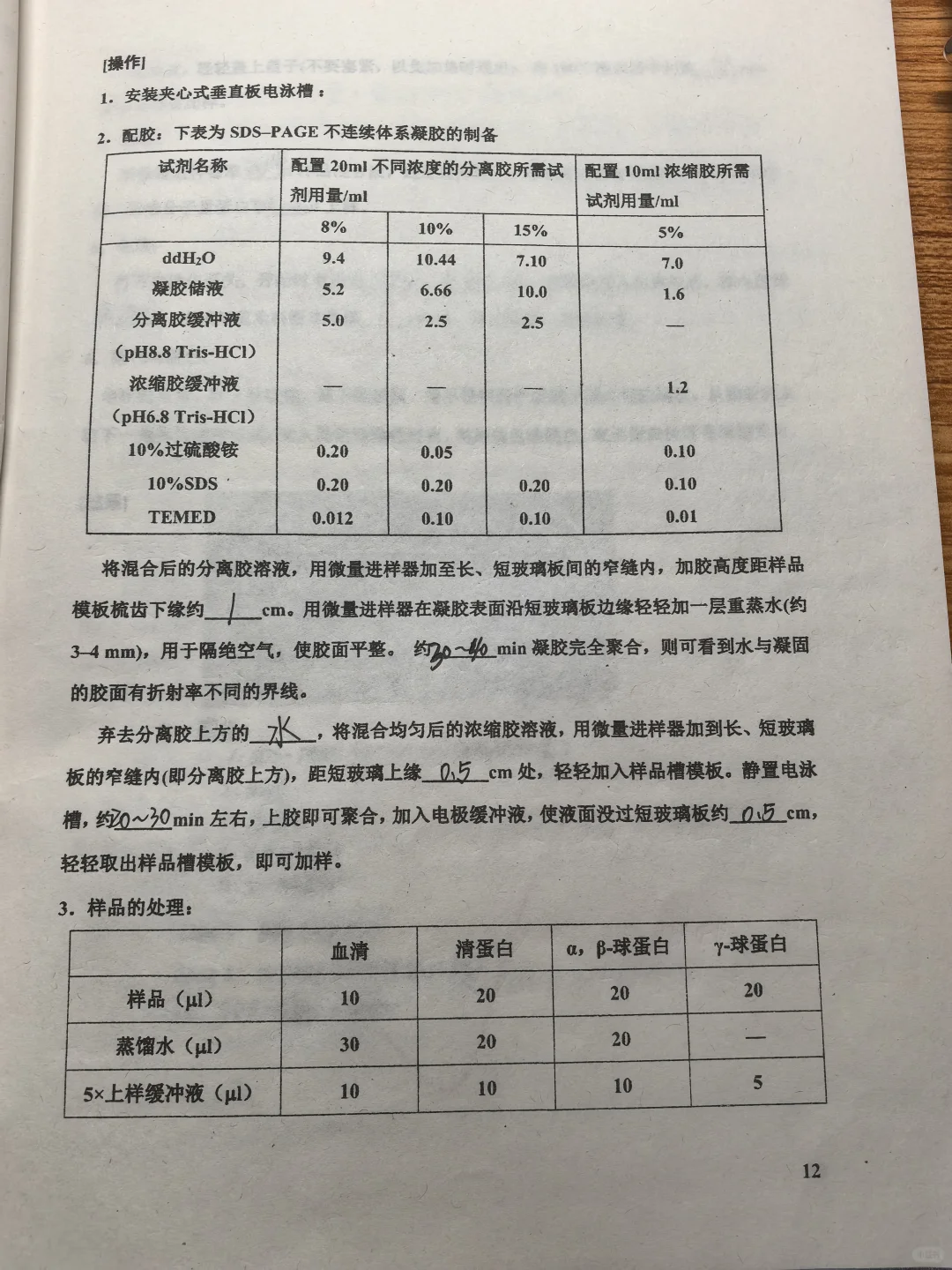 四、聚丙烯酰胺凝胶电泳分离目的蛋白质