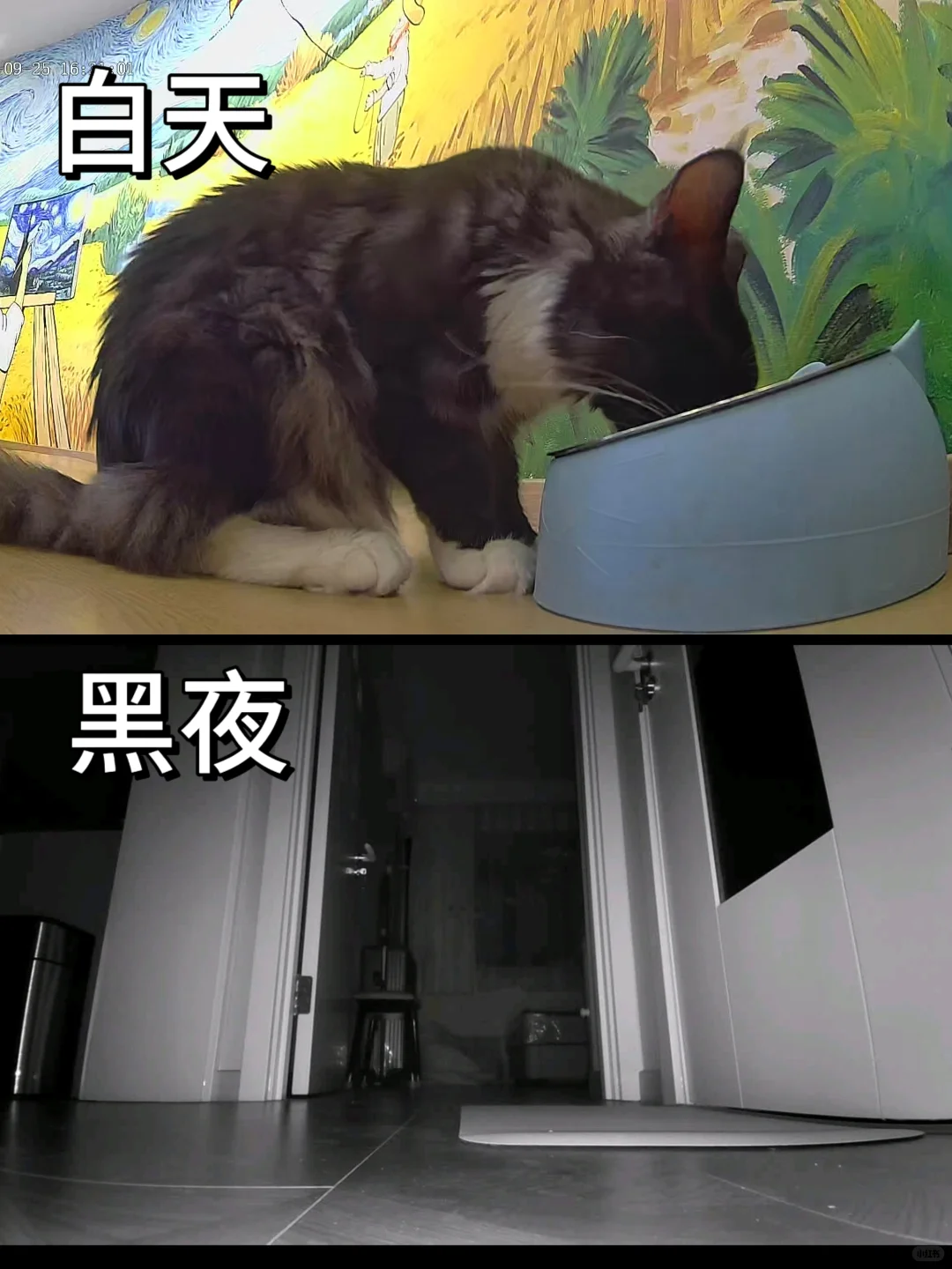 2025年谁还在担心用了监控隐私泄露????