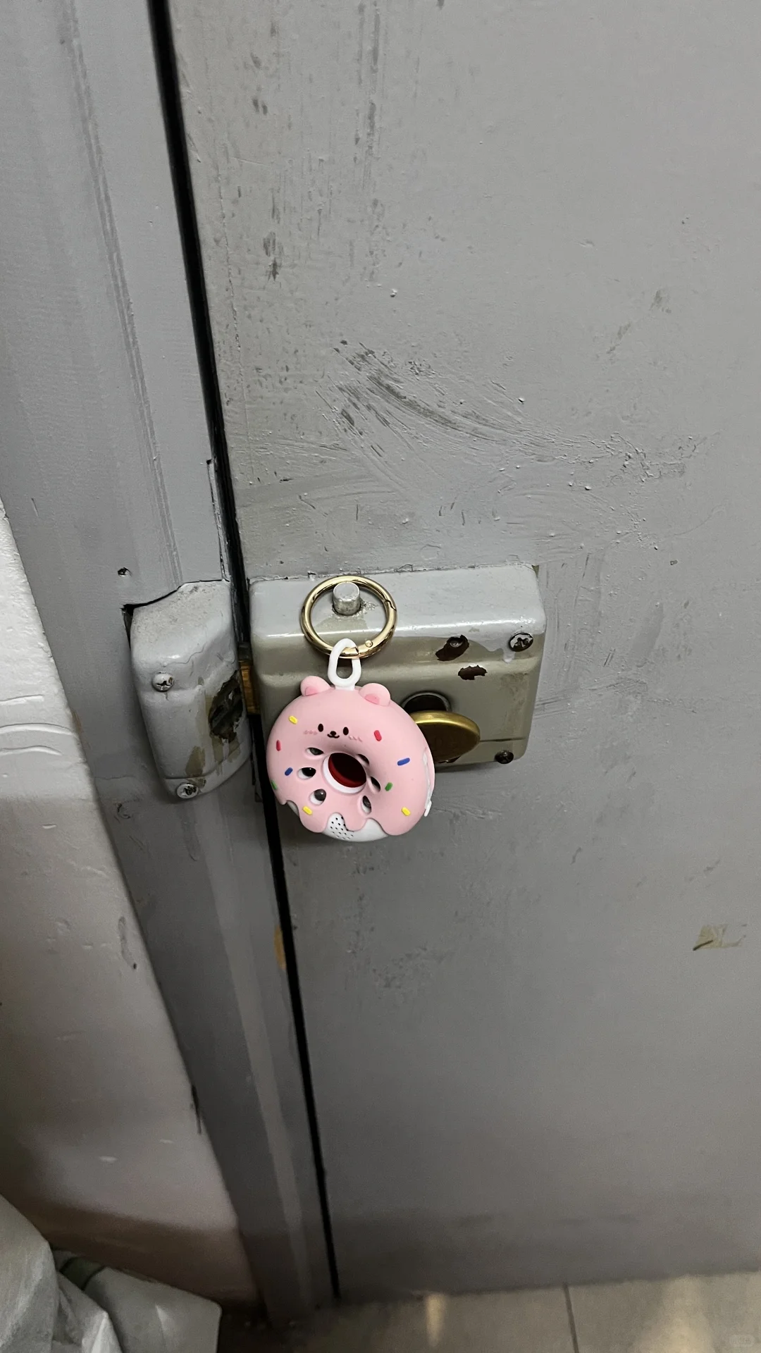 让我淘到好用的住酒店宝物了