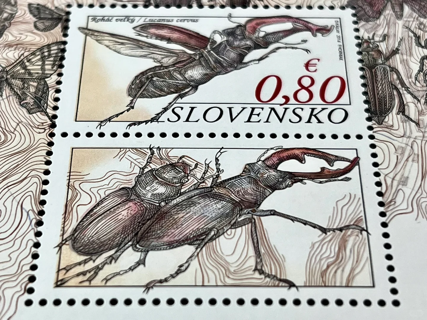 平板凹版印刷术的昆虫邮票，真的惊艳