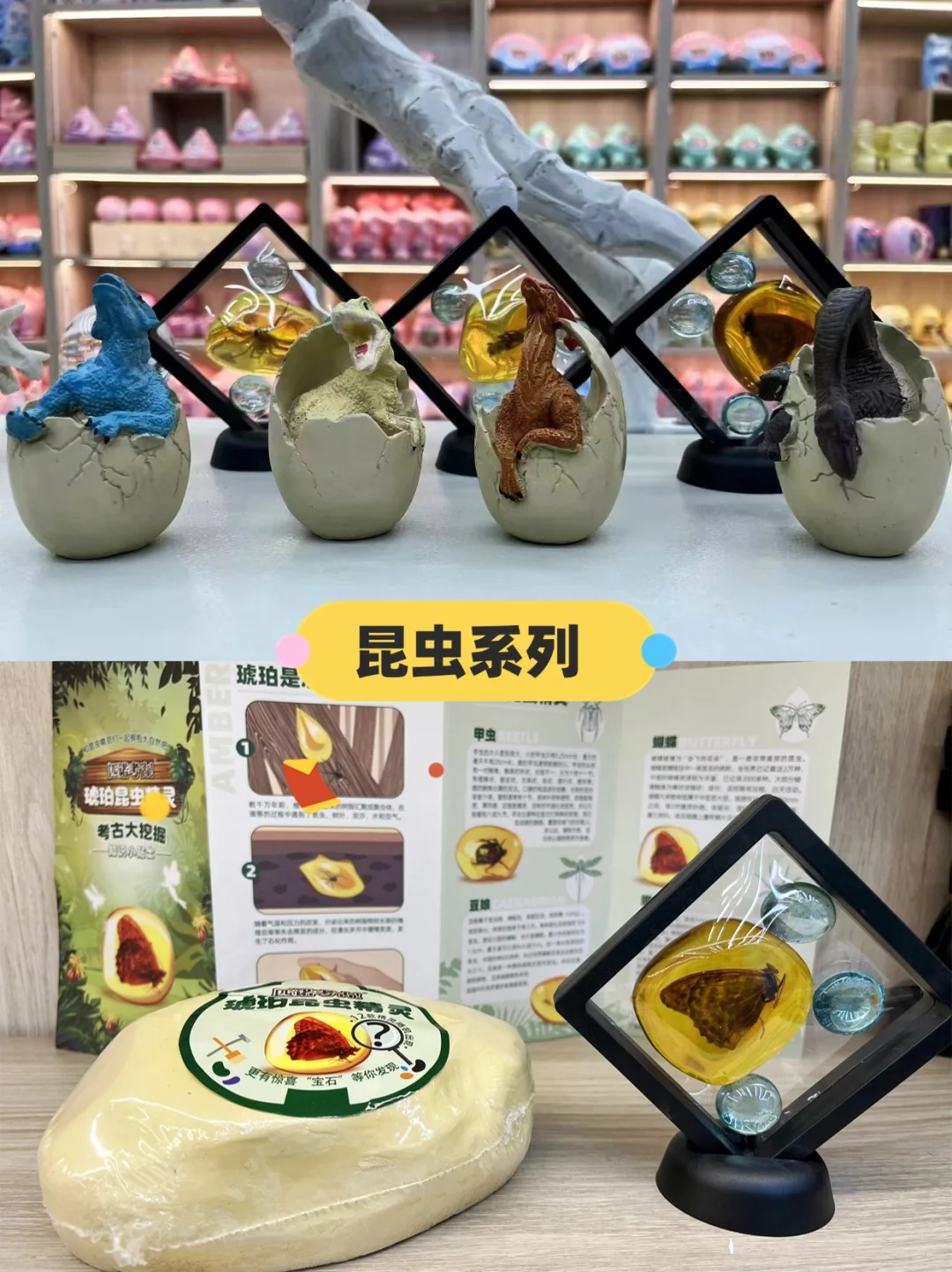 在文具店也可以体验到考古挖掘的乐趣
