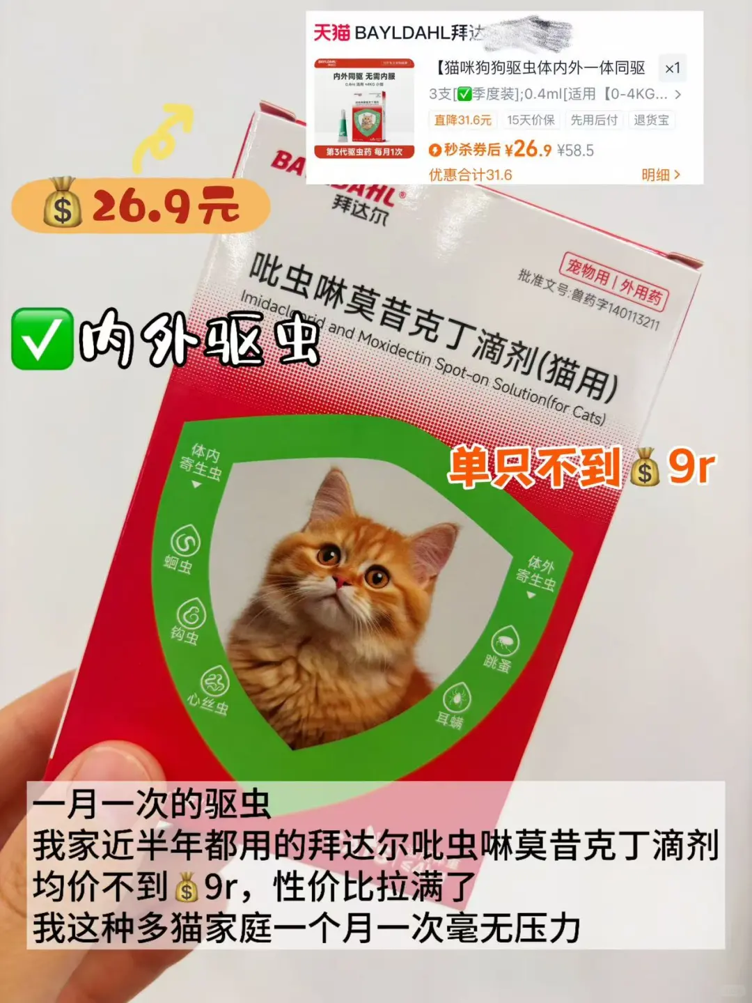 养猫好物|谁说低成本养不好猫的?