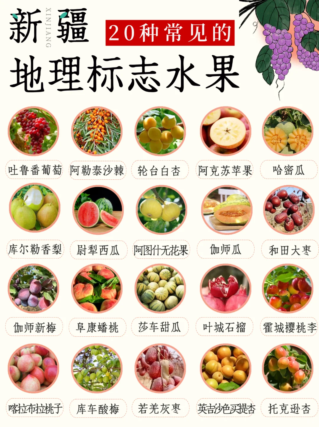 新疆水果图鉴|四季更迭的甜蜜瓜果盛宴?