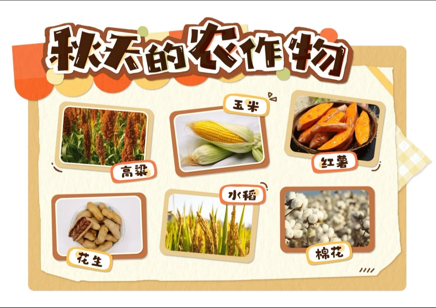 幼儿园秋天主题环创,? 打印,太美啦?