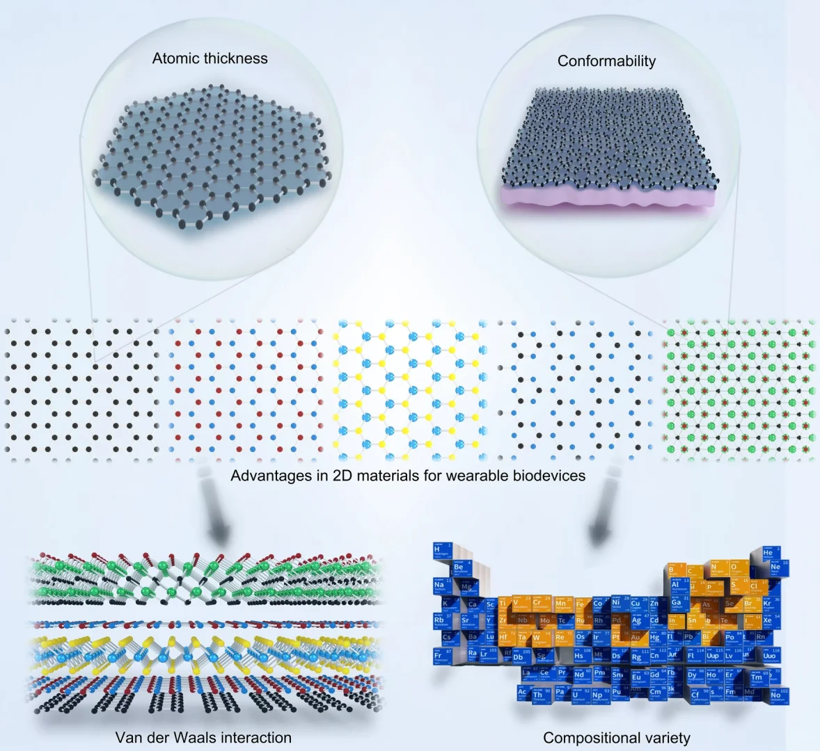 当“原子薄”遇上智能穿戴：开启柔性新时代