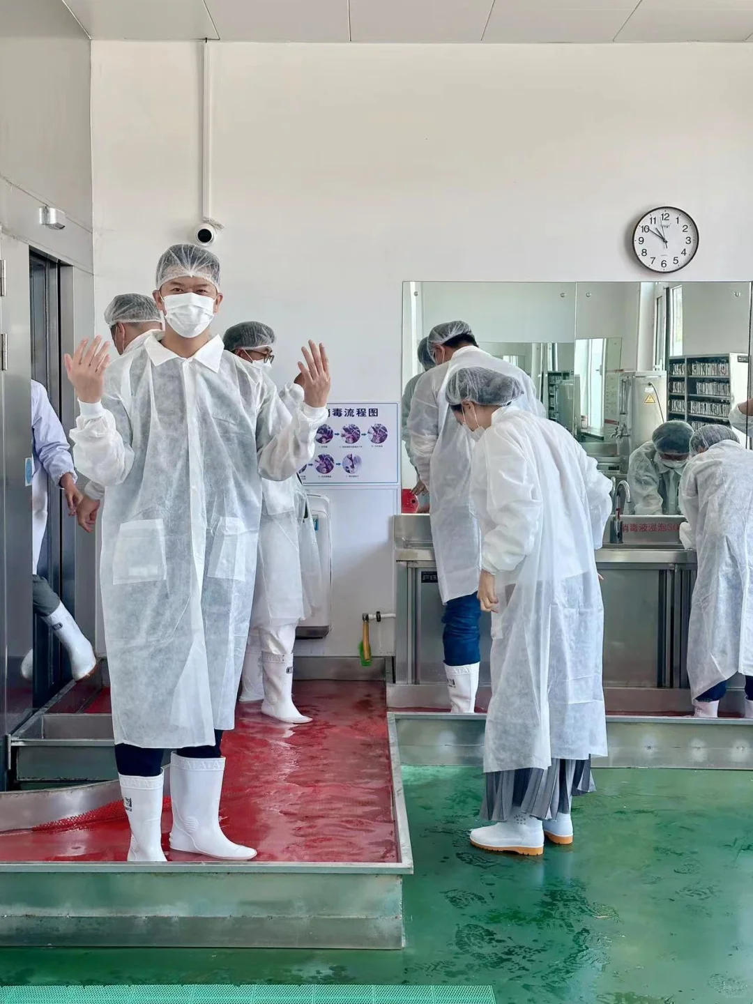 探秘速冻饺子工厂