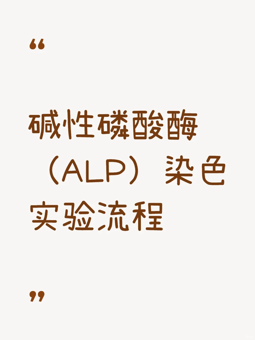 碱性磷酸酶（ALP）染色实验流程