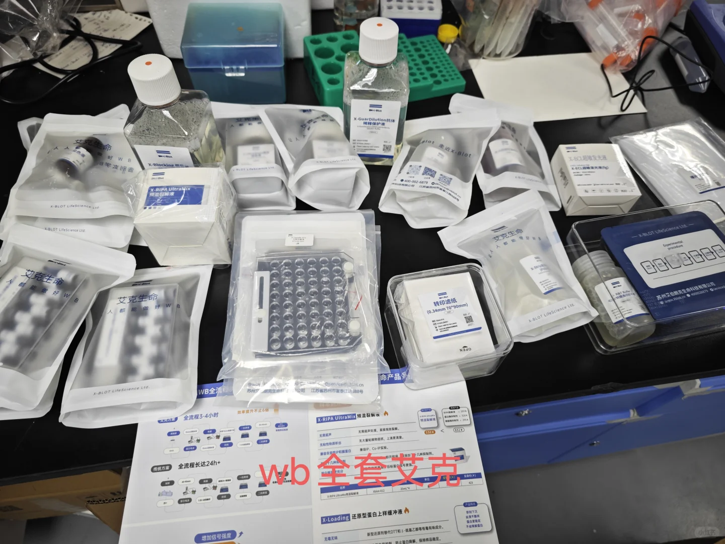 这个本科生自费建的小实验室属于什么水平