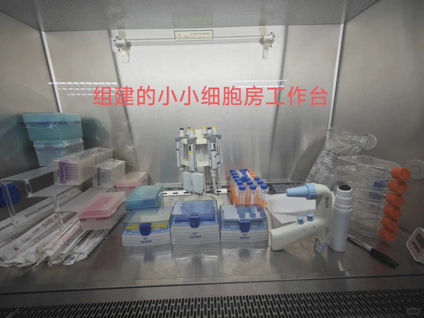 这个本科生自费建的小实验室属于什么水平