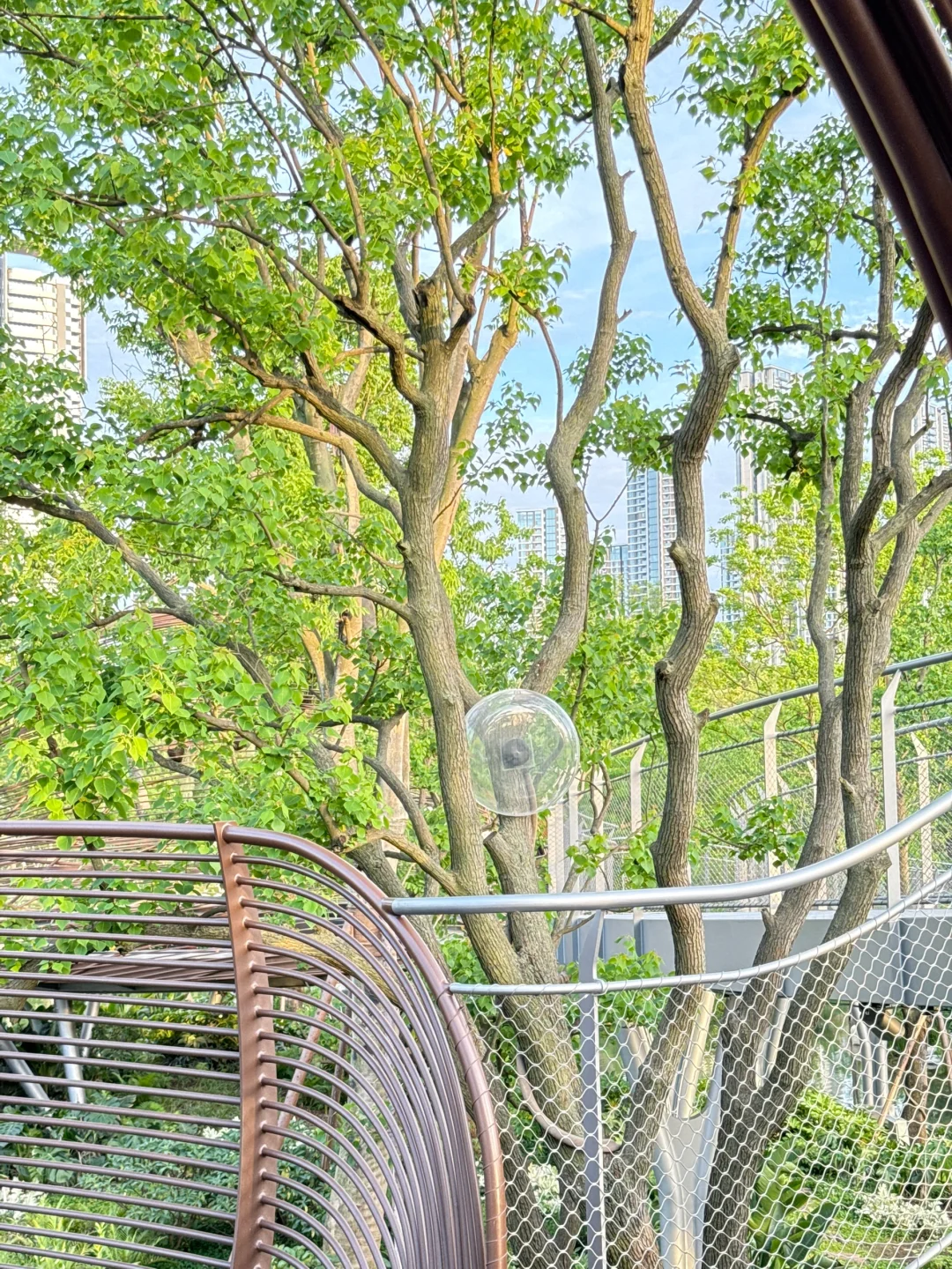 跟着成本逛麓湖-No.1 麓野公园景观桥