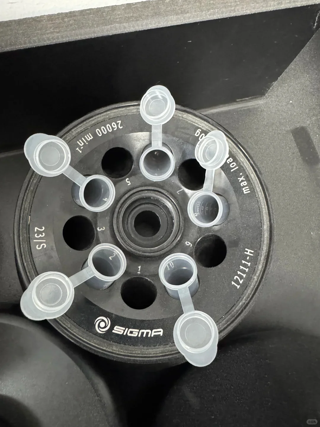 五个人当中有几个人配平了？