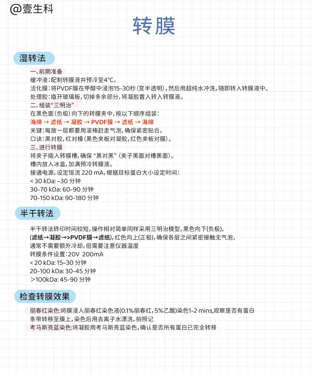 Western Blot蛋白质印迹实验全流程