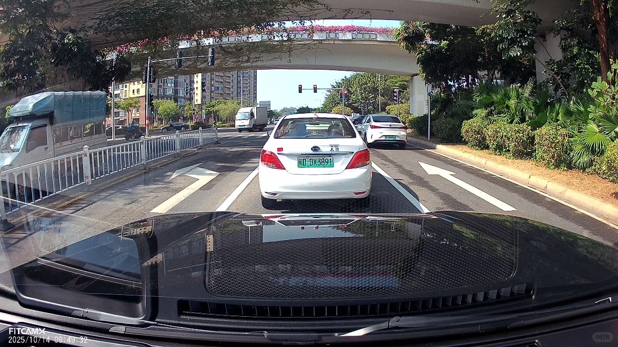 终于给我的大狗P找到了合适的行车记录仪❗️