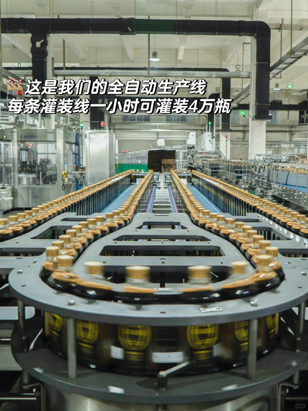 探厂plog ｜交底啦，酱油生产线都给你们看了