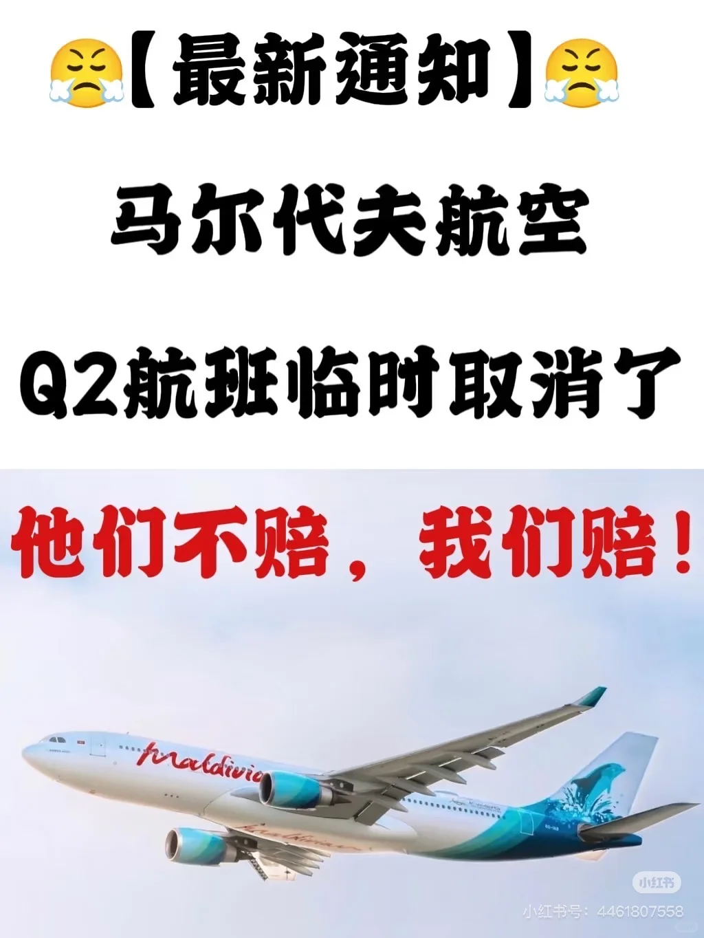 关于马代Q2航班取消✈️我司赔偿方案