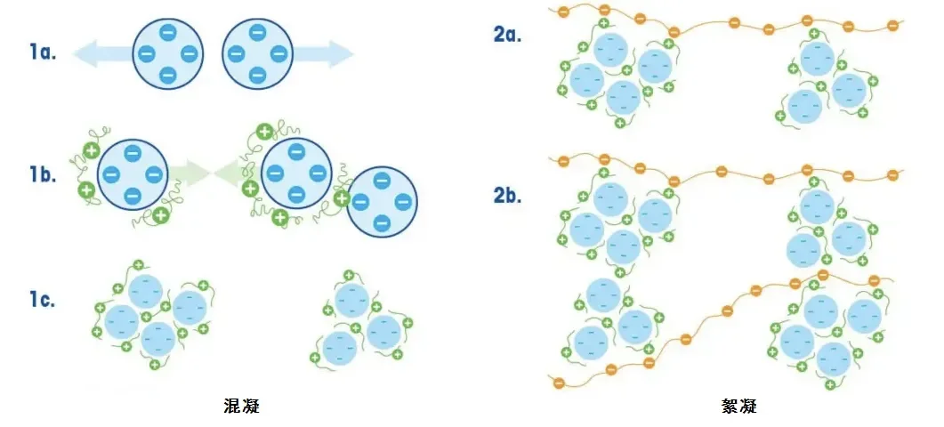 “絮凝剂”和“混凝剂”有什么区别？