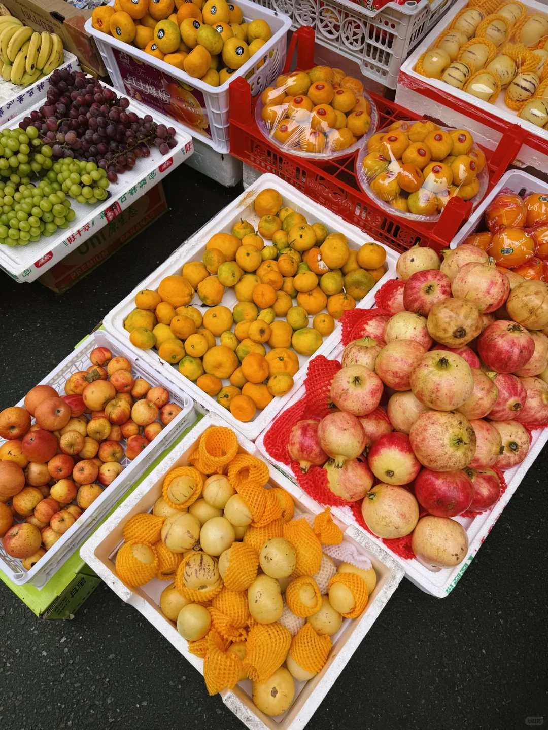 秋天果实累累的生命力！