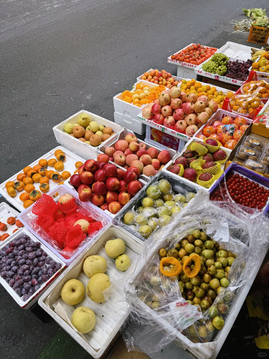 秋天果实累累的生命力！