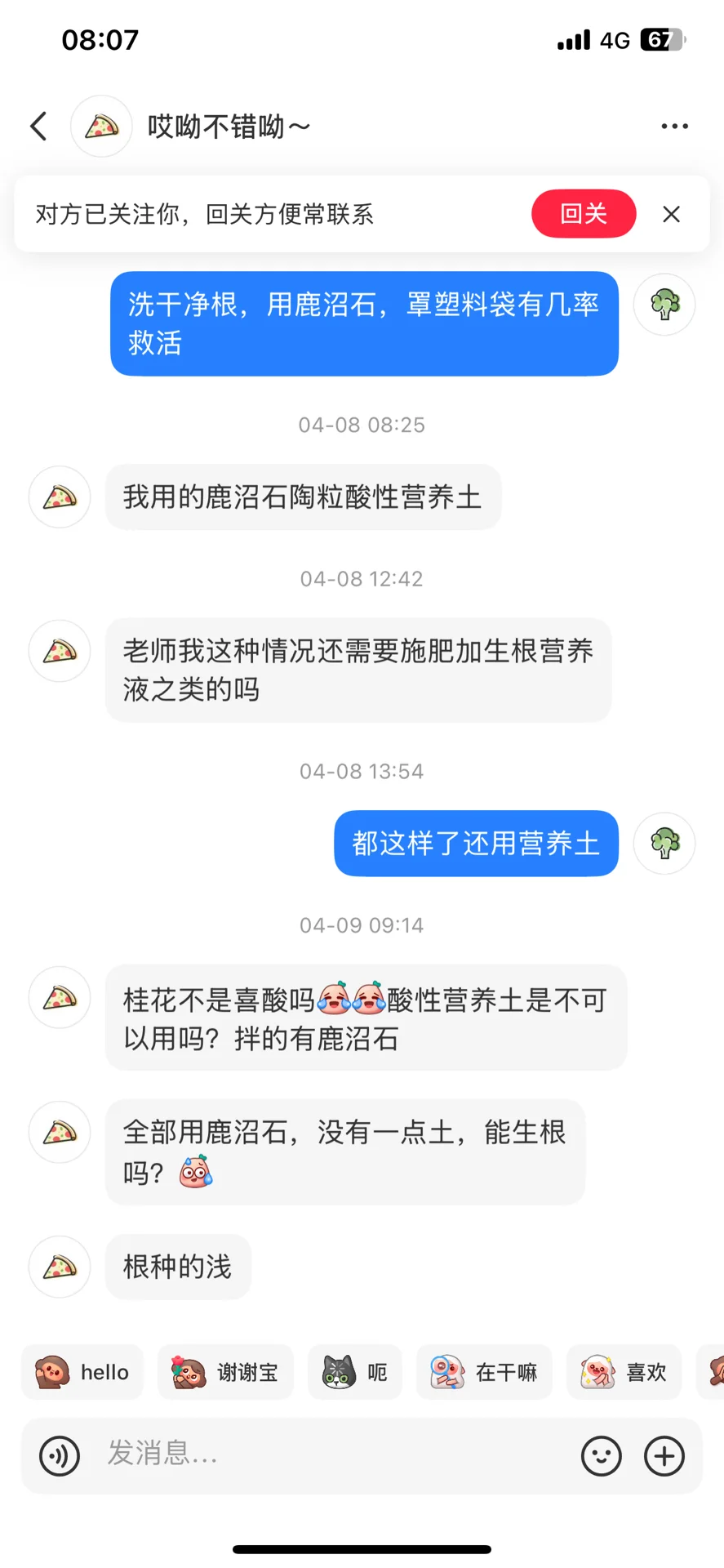 苦口婆心劝说救桂花