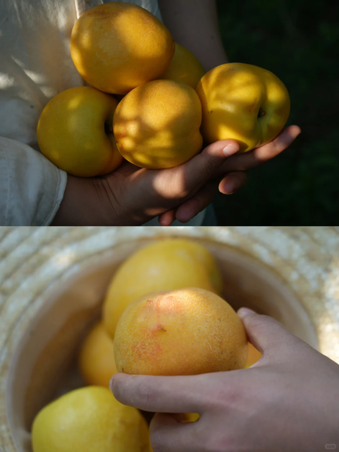 我是老王，7年职业水果人，有些感概…