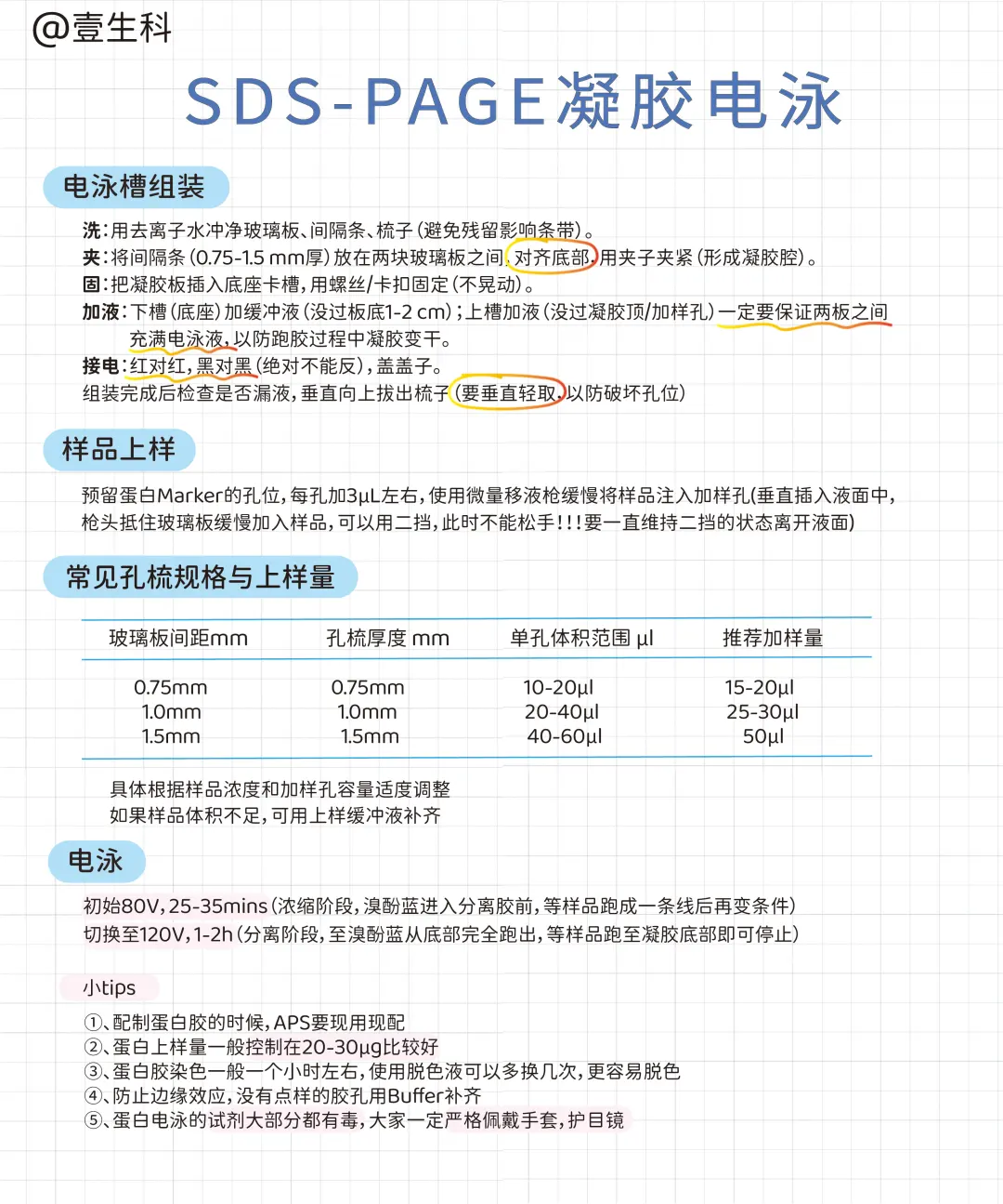 Western Blot蛋白质印迹实验全流程