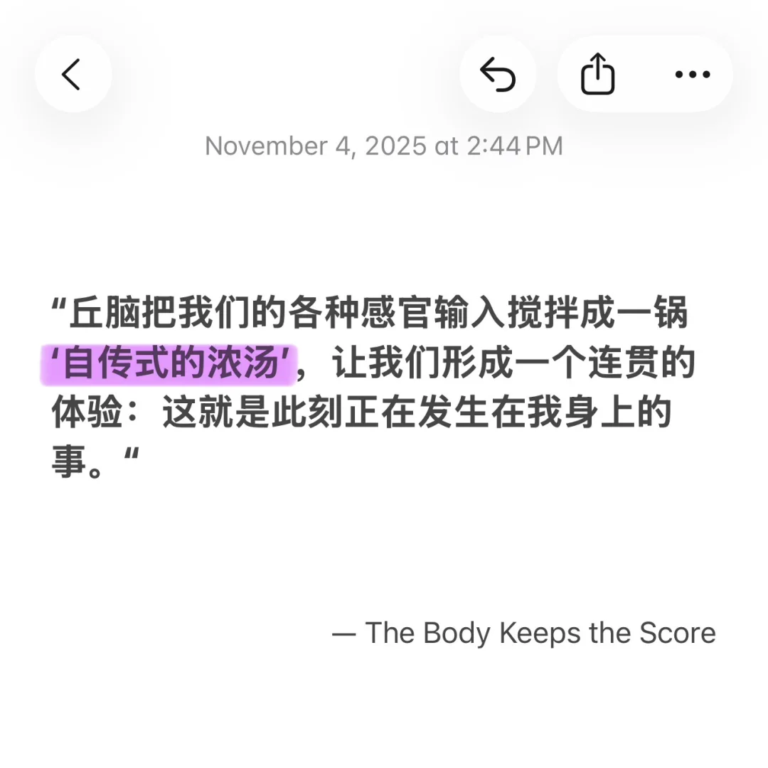 《身体从未忘记》｜“大脑的厨房与烟雾报警器”