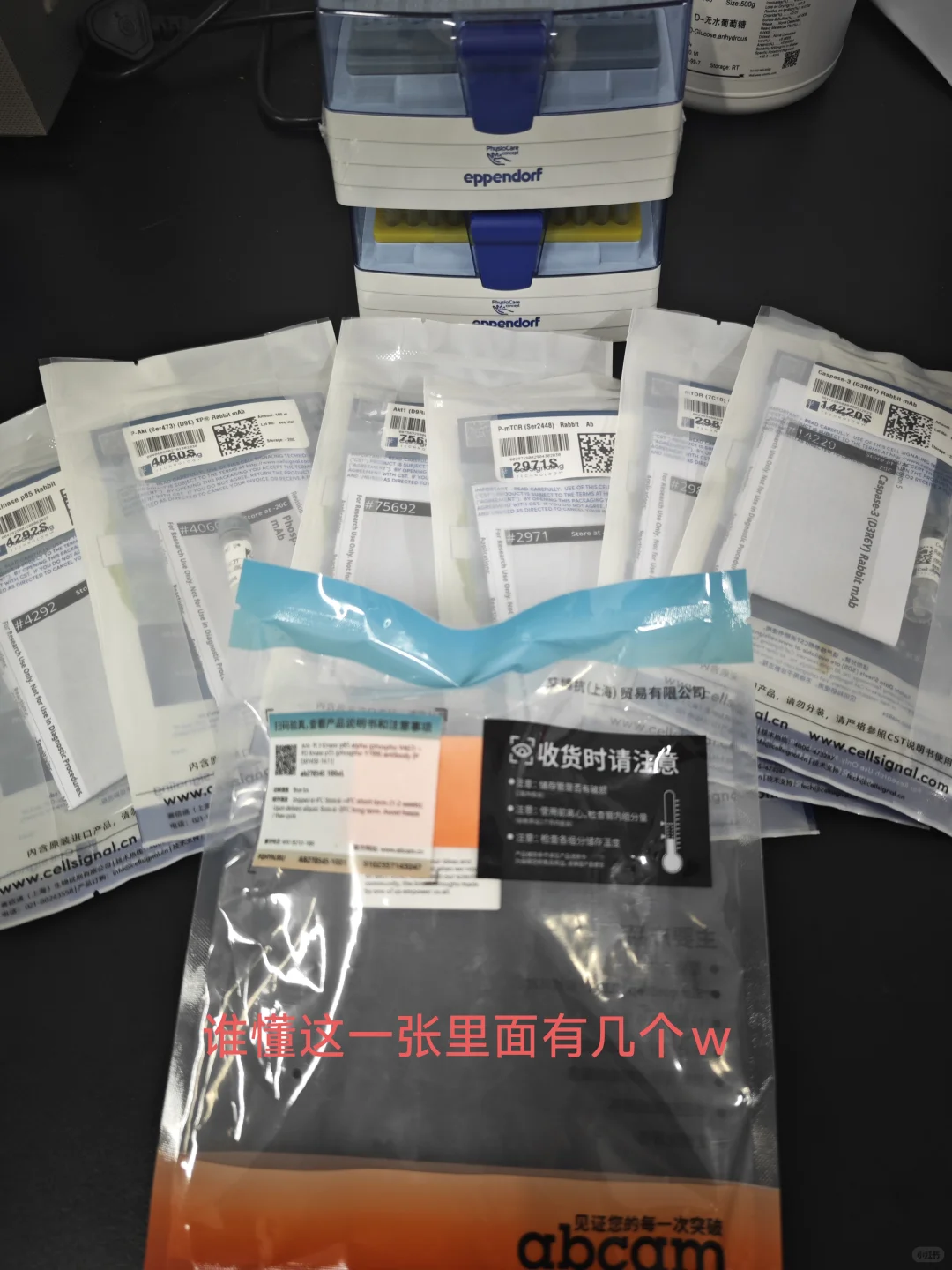 这个本科生自费建的小实验室属于什么水平