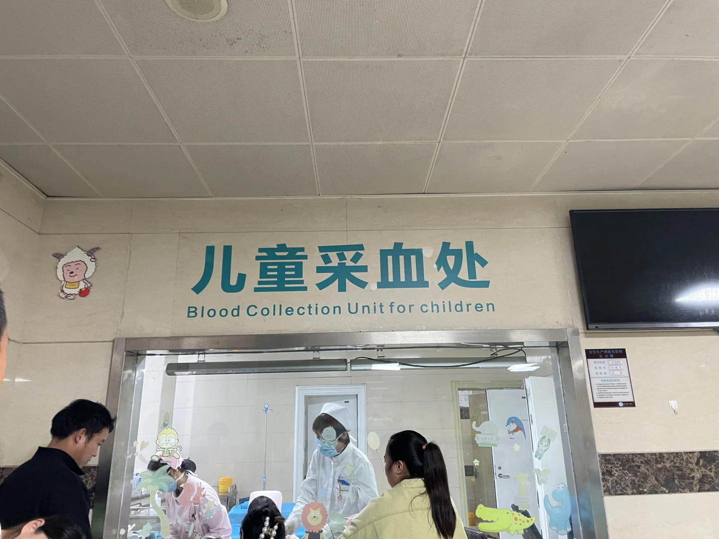 「宝宝体检」8月龄