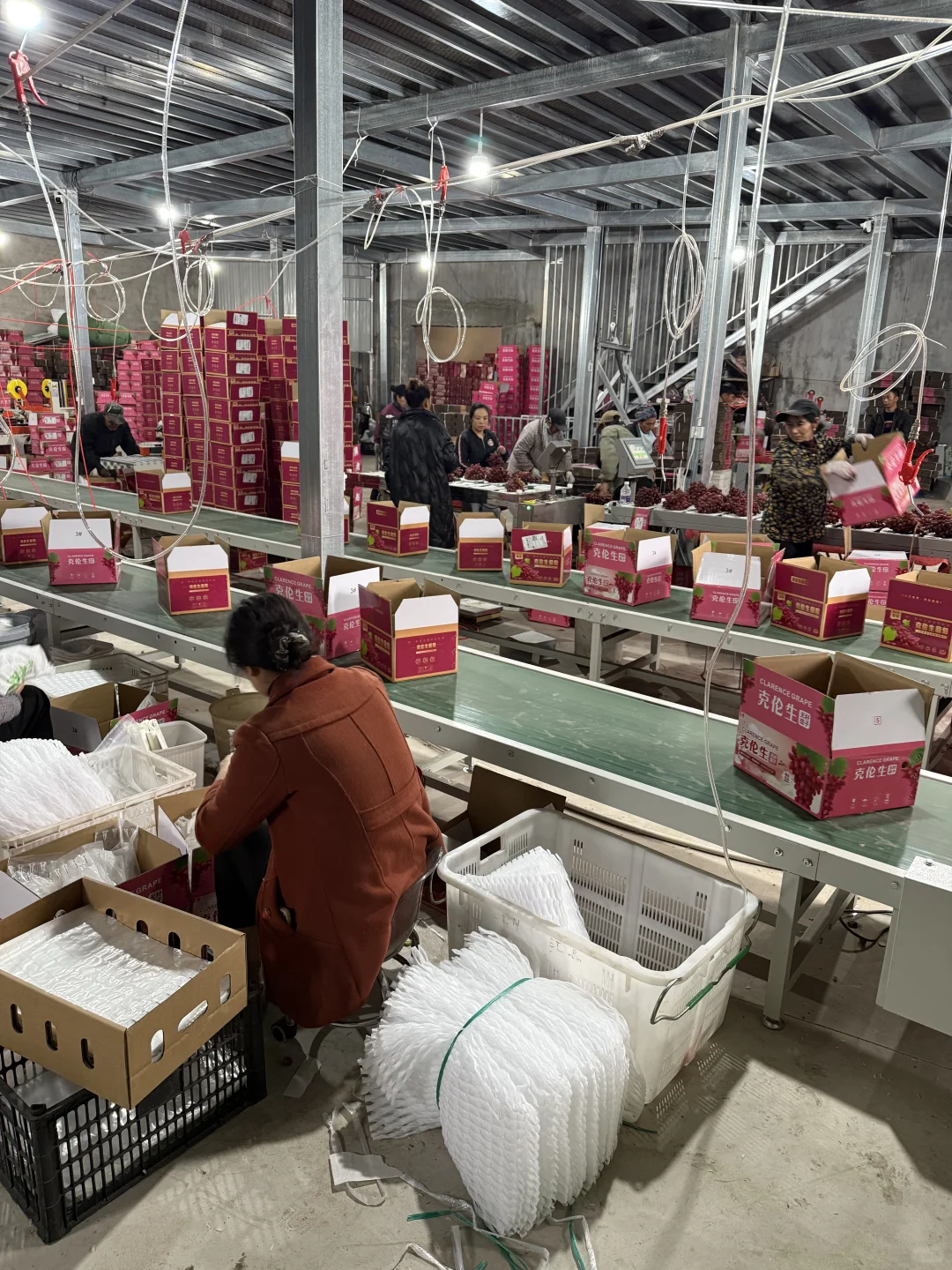 对不起了同行的朋友我家种的太多了