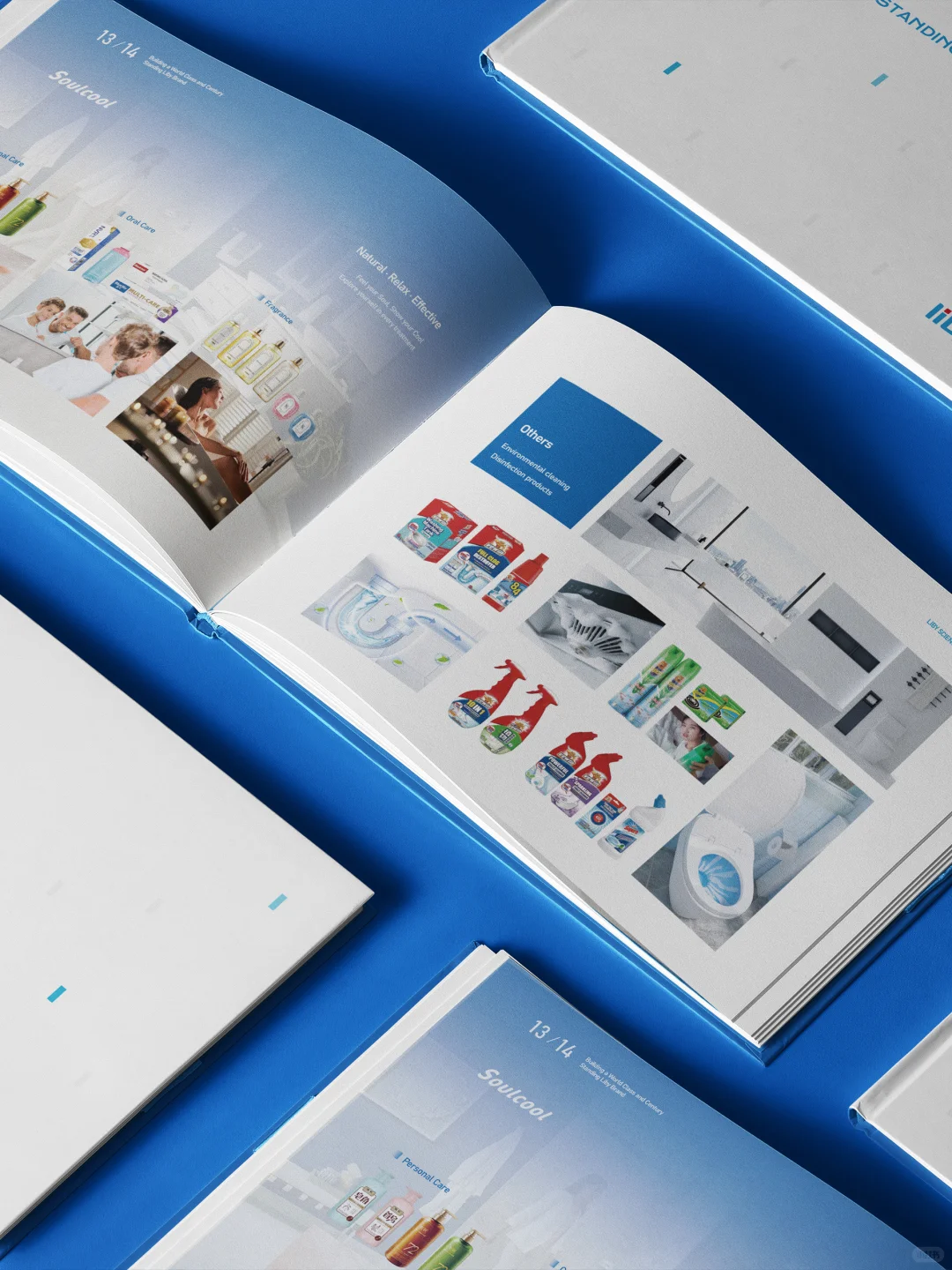 立白进军海外市场画册设计，设计与国际接轨