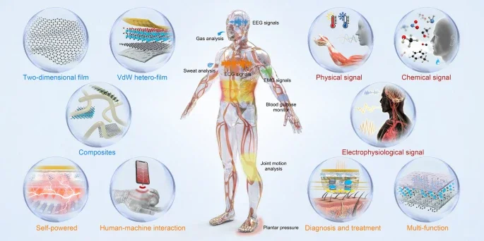 当“原子薄”遇上智能穿戴：开启柔性新时代