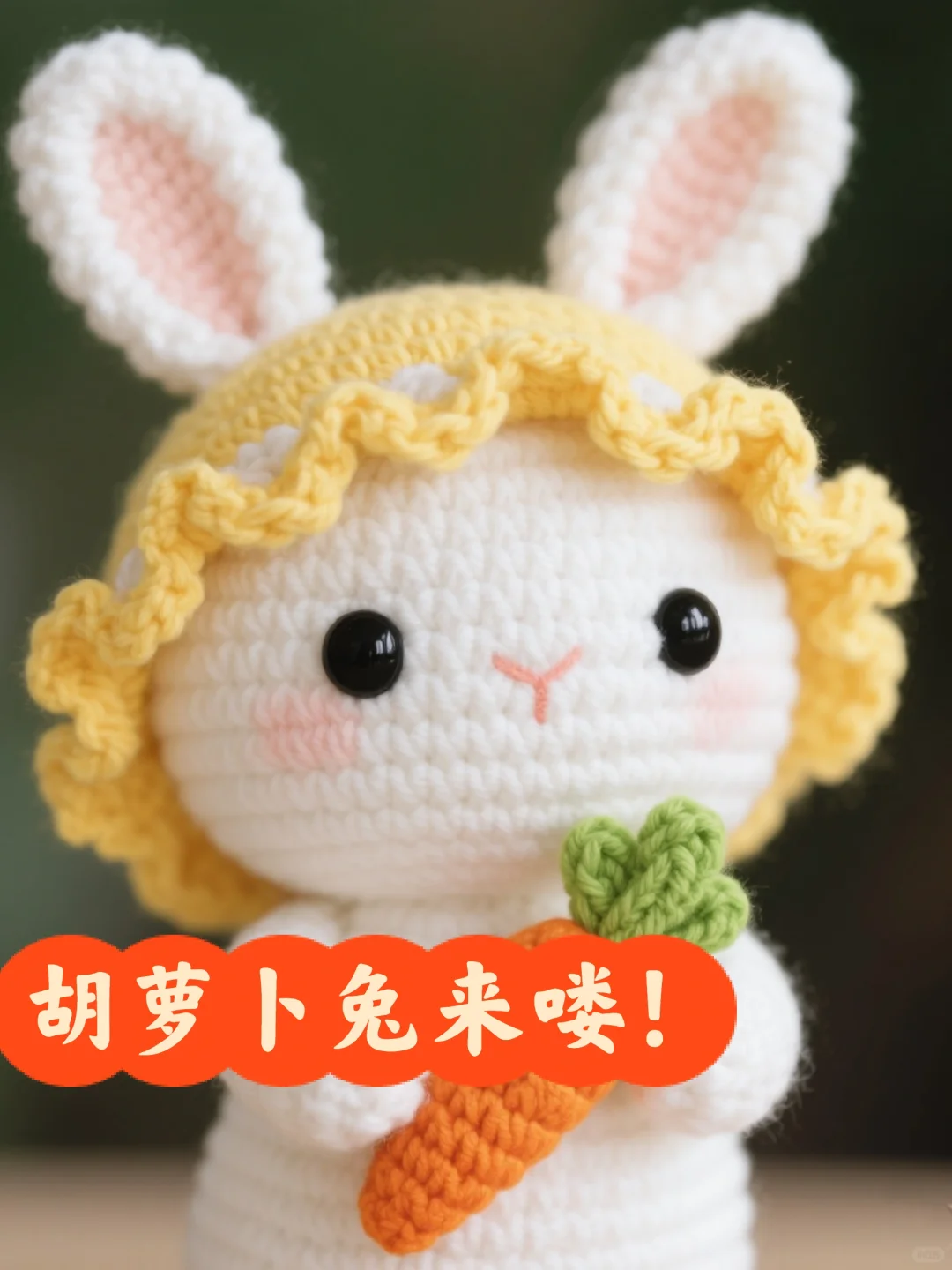 可爱又治愈的小兔叽来了