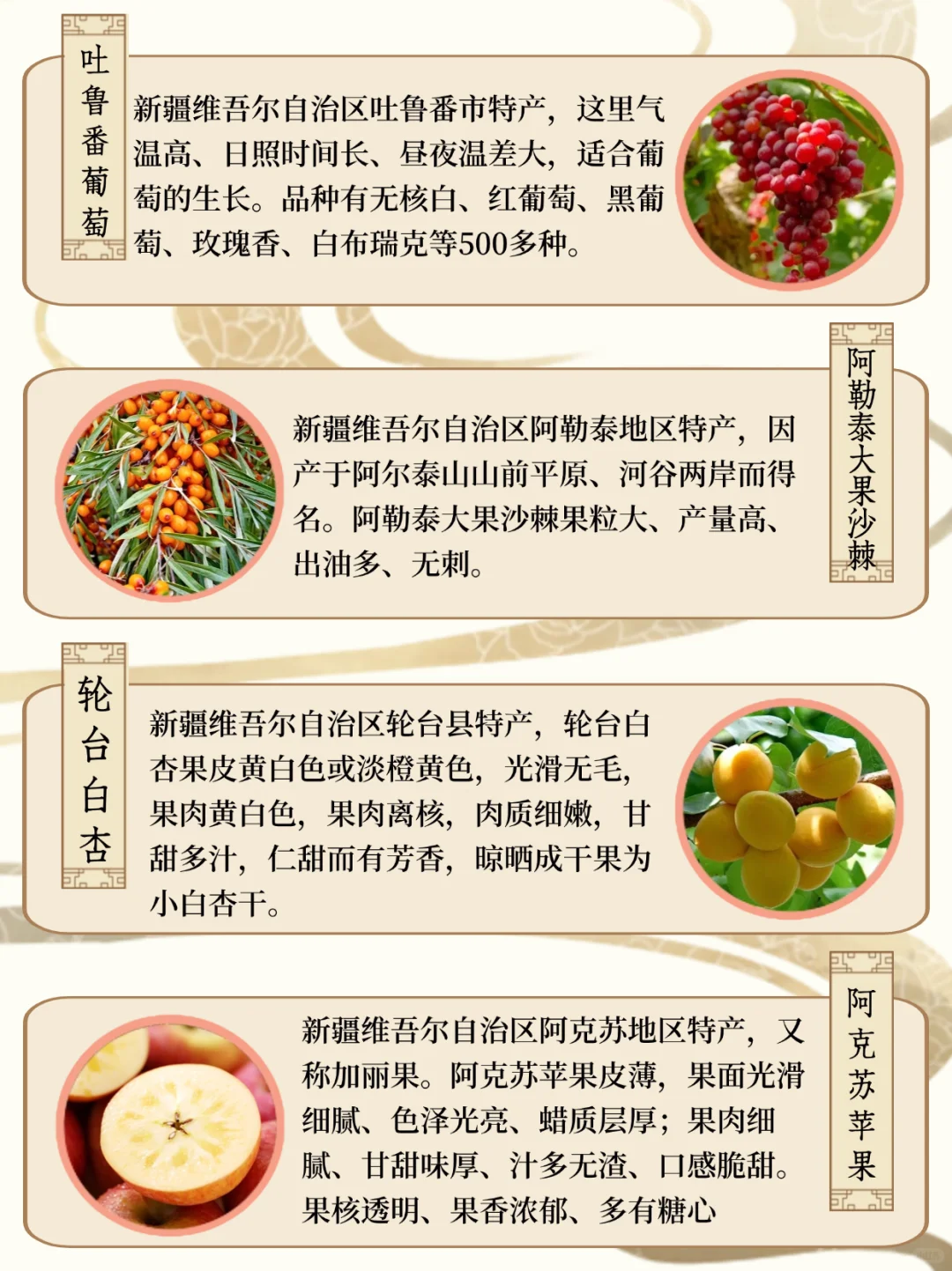 新疆水果图鉴|四季更迭的甜蜜瓜果盛宴?