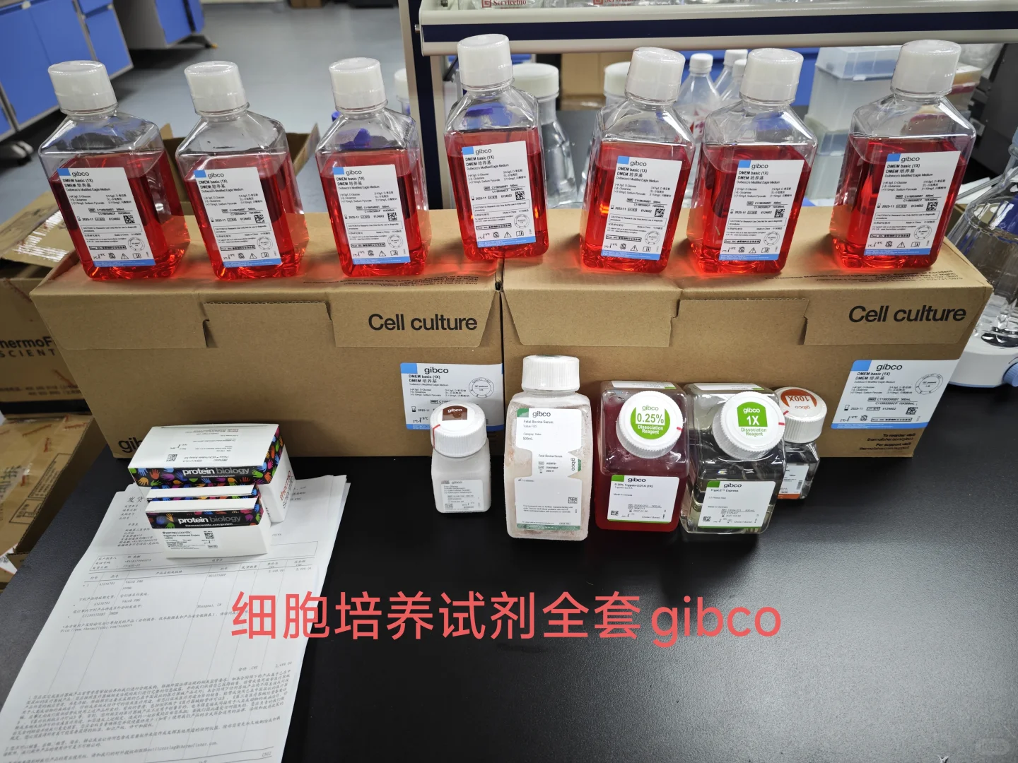 这个本科生自费建的小实验室属于什么水平