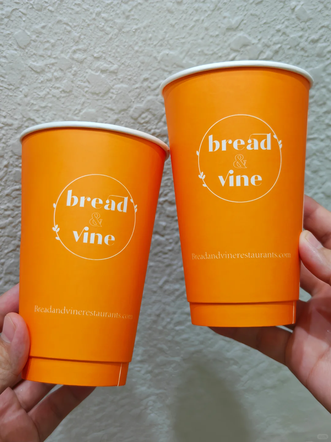 ✨还在大批量起订纸杯?小批量定制纸杯来袭